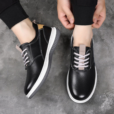 Torino Sneakers